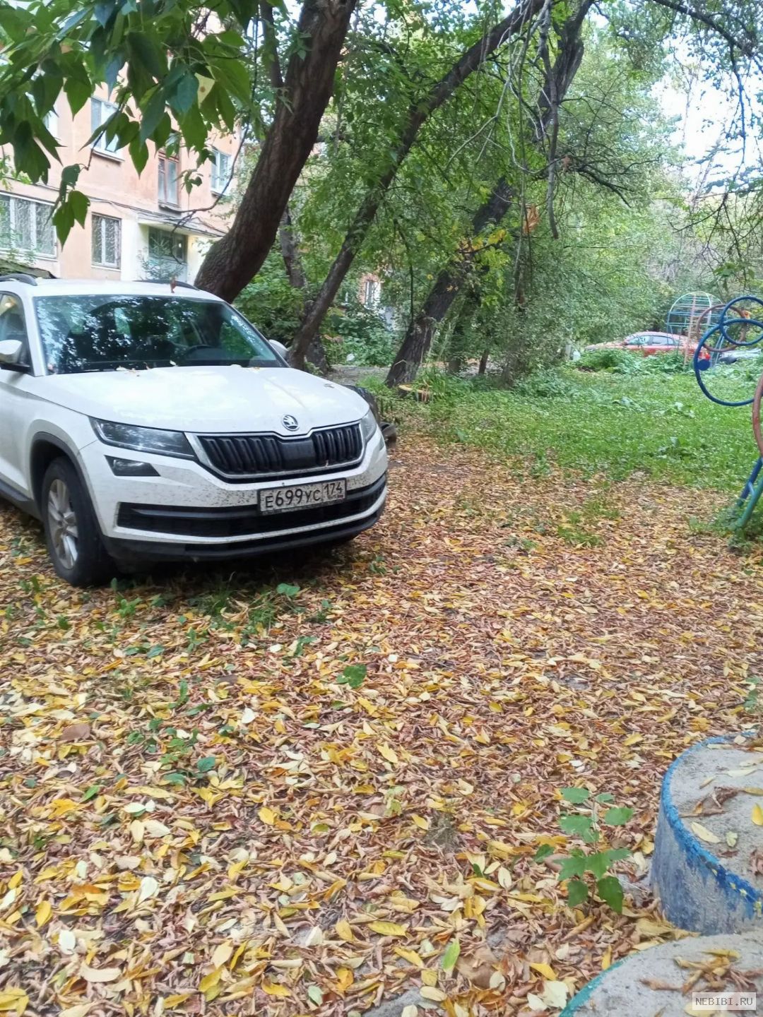 Е699УС174 (фото 2)