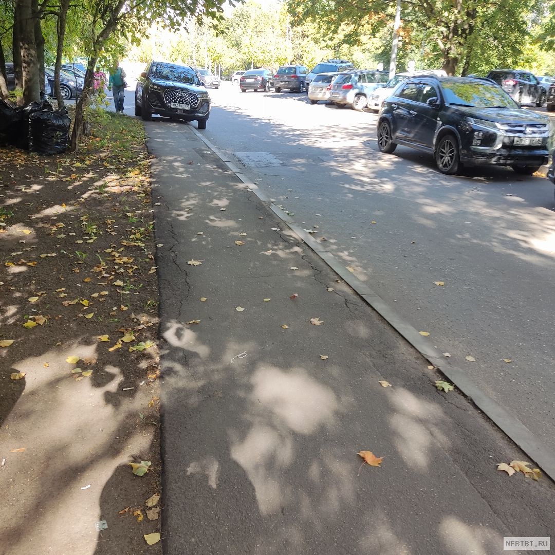 Н831НС797 (фото 1)