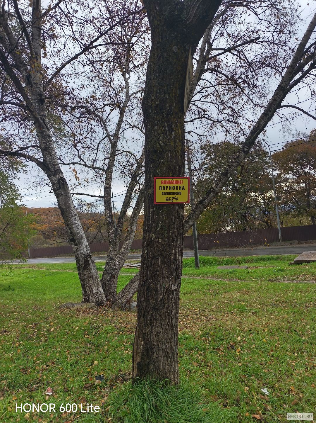 К934СО125 (фото 3)